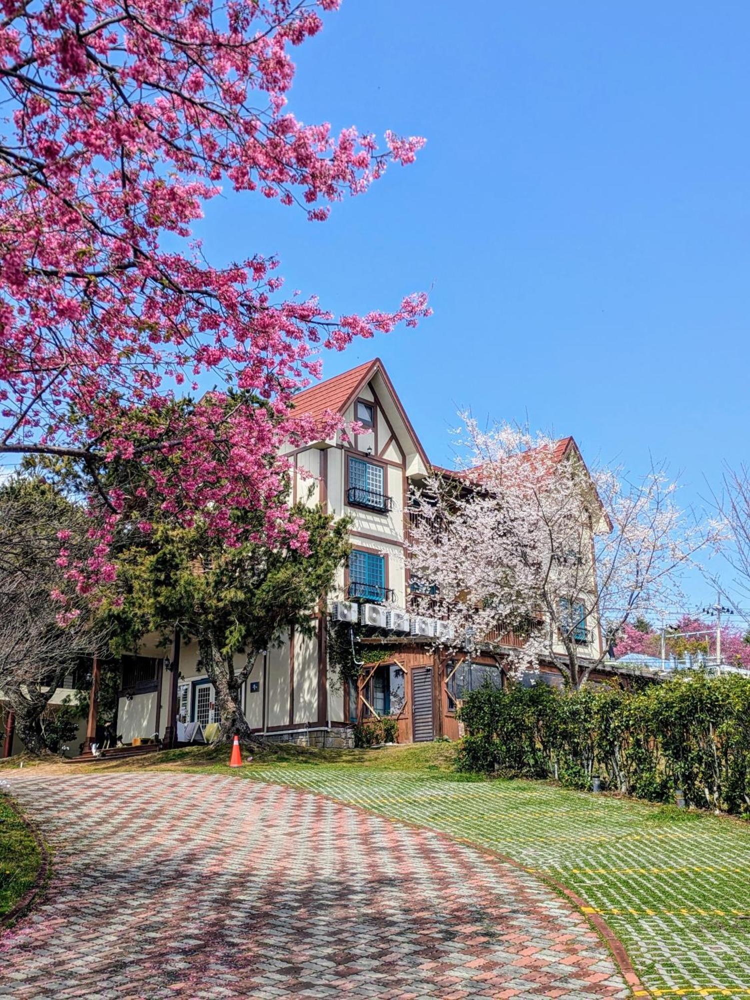 清境 百里莊園 Baili Manor Cing Jing Apartment Nhân Ái Ngoại thất bức ảnh